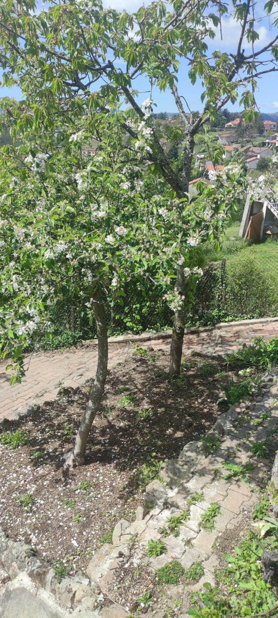 La Petite Maison D'Hose Monistrol-sur-Loire Exteriör bild